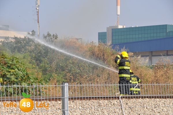 firecartoonsecnd506 (43).JPG